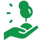 Tree Care