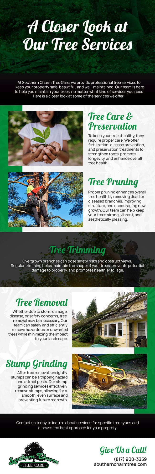 Tree Diseases in Aledo, Texas